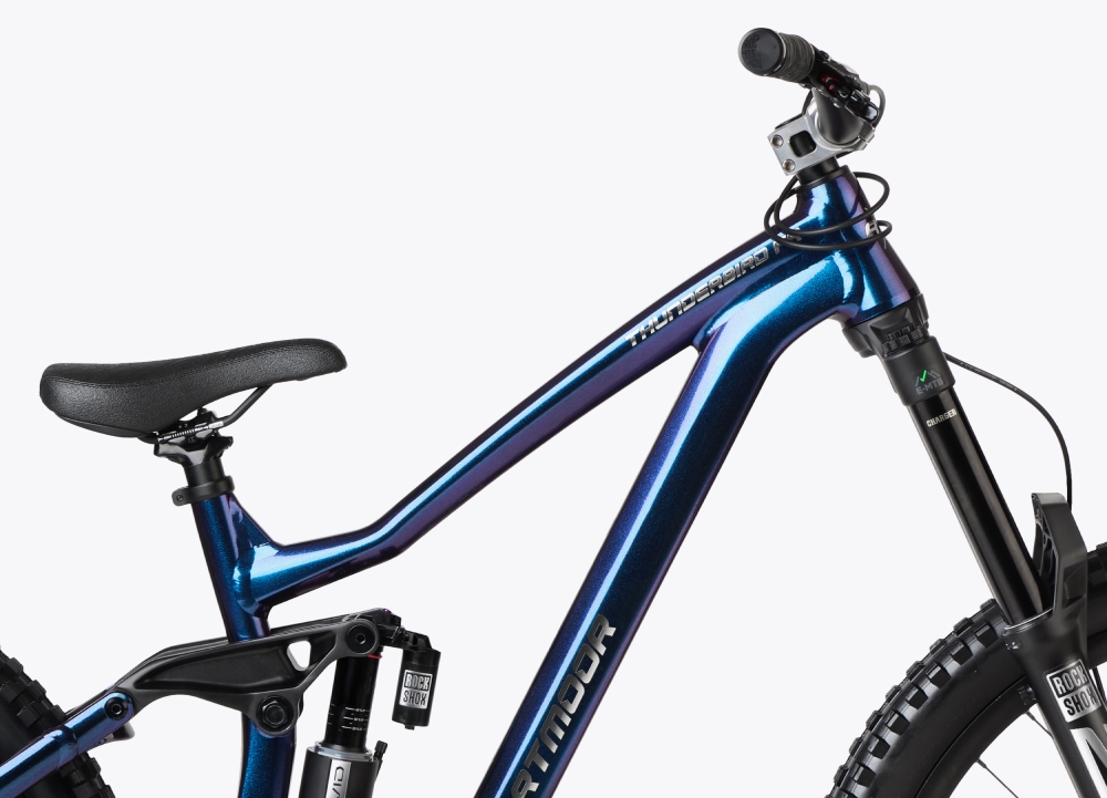 Bicicleta Dartmoor Thunderbird FR Pro Single Speed azul